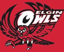 Elgin Owls